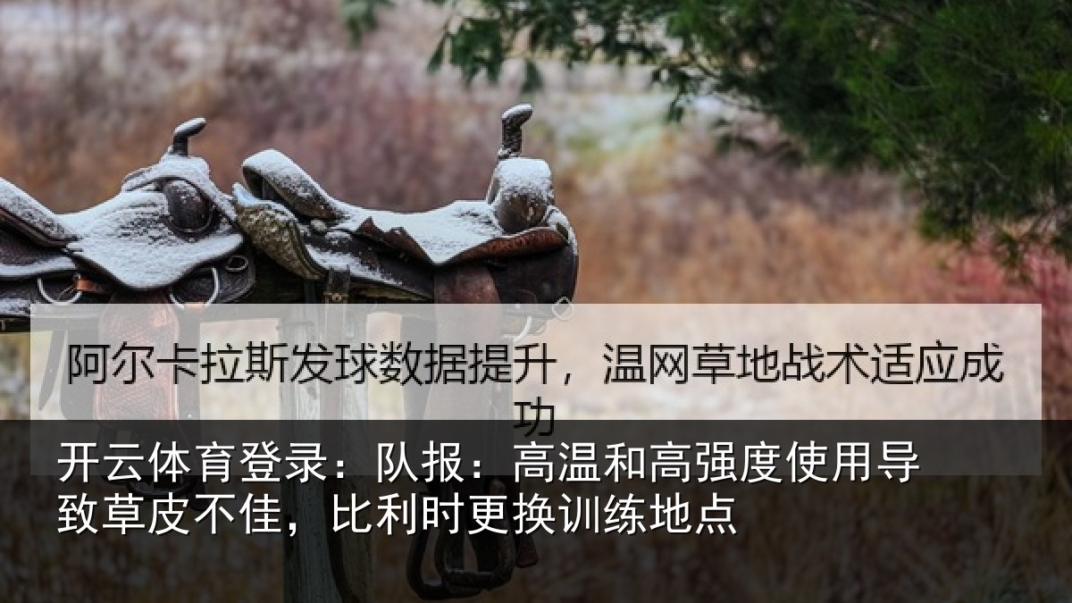 开云体育登录：队报：高温和高强度使用导致草皮不佳，比利时更换训练地点